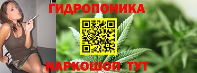 шишки Кимры