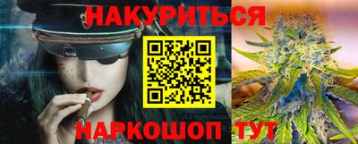 шишки Кимры
