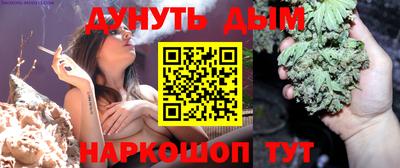 ешки Кингисепп