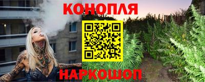 шишки Кимры