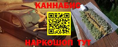 ешки Кингисепп