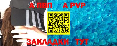 шишки Кимры