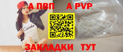 ешки Кингисепп