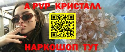 ешки Кингисепп