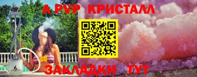 шишки Кимры