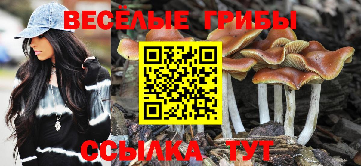 Галлюциногенные грибы MAGIC MUSHROOMS Карталы